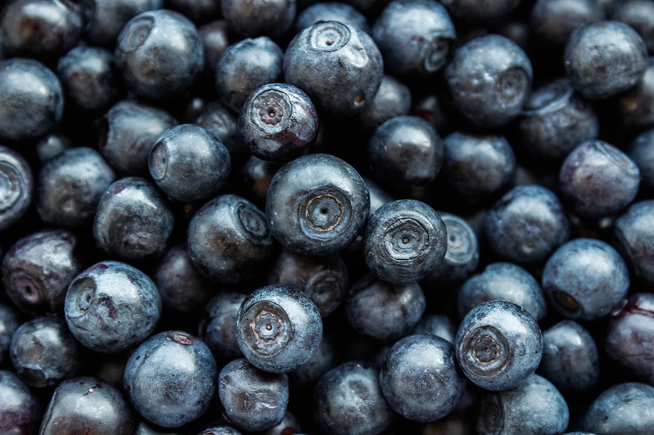 entdecken sie die neuesten ernährungstrends, die gesundes essen und nachhaltige lebensstile fördern. lassen sie sich von innovativen rezepten, superfoods und praktischen ernährungstipps inspirieren, um ihre gesundheit zu verbessern und ihr wohlbefinden zu steigern.