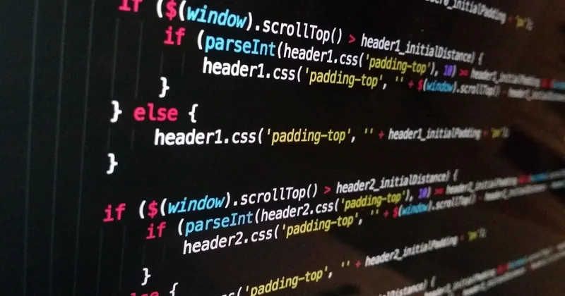 CSS für Profis: white-space, Padding und Margin